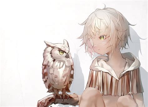 Discover 66 Owl Anime Best Vn