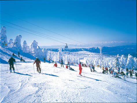 Zao Onsen Ski Holiday Reviews Skiing