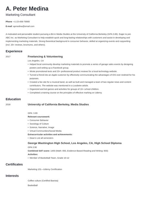 resume   experience  job examples