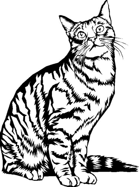 Dessin De Chat Cat Coloring Page Coloring Pages Cat Drawing Line
