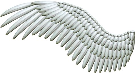 Белые крылья Png