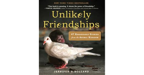 Unlikely Friendships 47 Remarkable Stories From The Animal Kingdom By