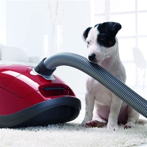 Miele Complete C3 Homecare Pure Suction Canister Vacuum With Hepa