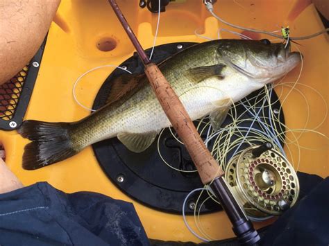Fly Fishing For Largemouth Bass On The Water