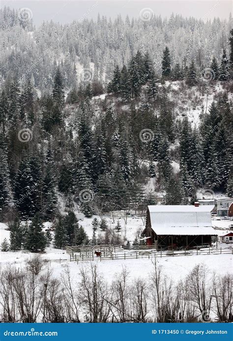 Rural Winter Scene Stock Photo Image Of Season Barn 1713450