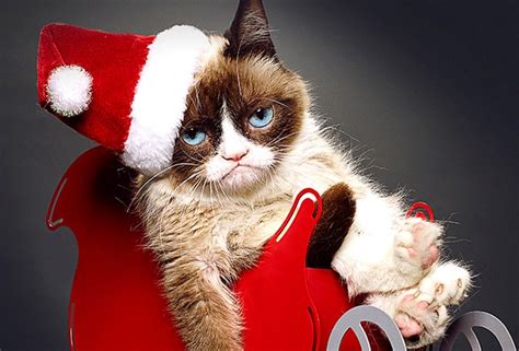 Theres A Grumpy Cat Christmas Movie And Its Actually Pretty Good