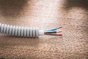 The brush can be snapped in and out of its frame for simple maintenance. Cat Chew Cords - Why Cats Do This And How To Prevent It