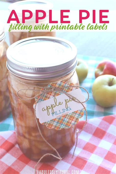And a can of apple pie filling is a perfect example of a simple ingredient that can be transformed into many different amazing recipes!<br /> <br /> these recipes using apple pie filling are all totally delicious and perfect for serving to your family. Canned Apple Pie Filling Recipe with Printable Labels ...
