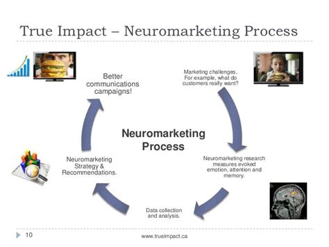 The Decision Making Process Neuromarketing Overview