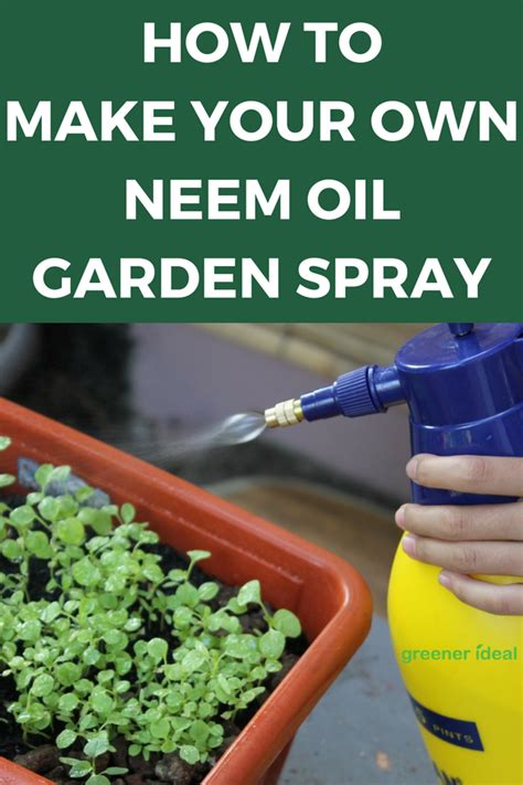For this organic pesticide, combine 10 to 12 garlic cloves with 1 quart of water in a blender. How to Make Your Own Neem Oil Pesticide | Neem oil garden ...