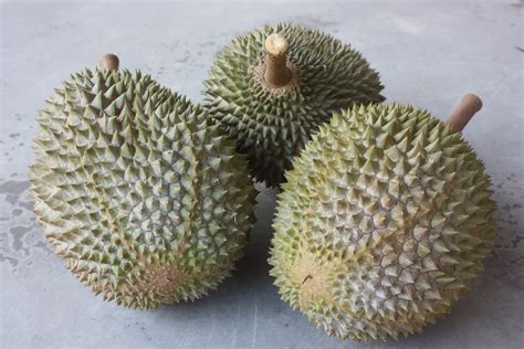 Malaysia Durian Malaysia Durian