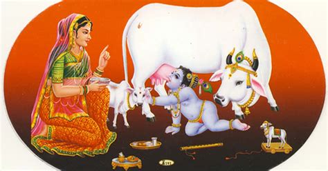 Modern Hindus Forbidden From Eating Beef But Ancient Hindus Ate The