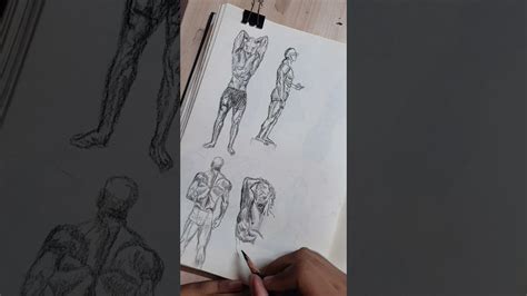 How To Draw Male Torso Figur Drawing Anatomy Art Anatomy Figure