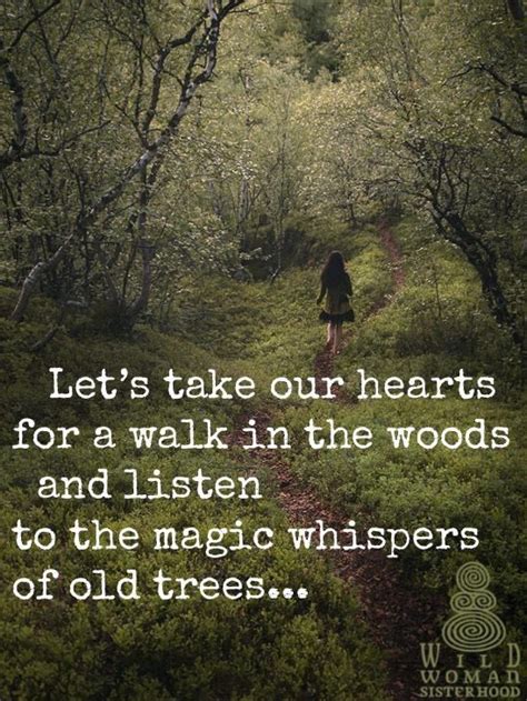 Lets Take Our Hearts For A Walk In The Woods And Listen To The Magic