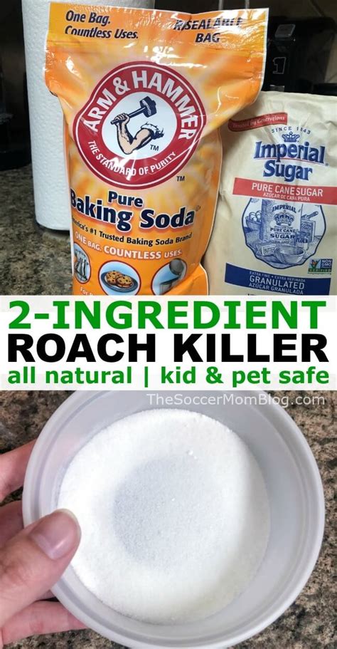 2 Ingredient Homemade Roach Killer All Natural Kid And Pet Safe