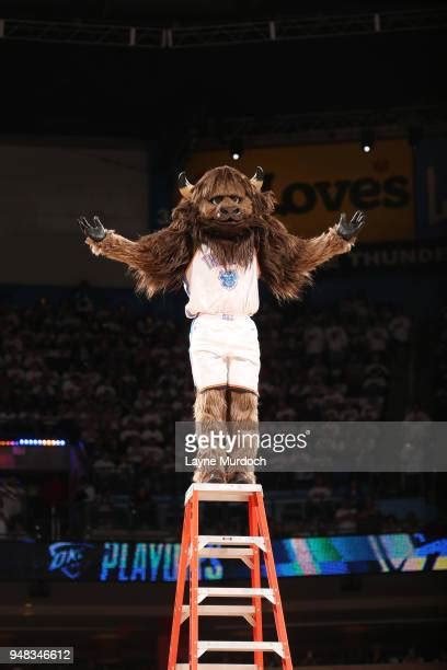 Rumble The Bison Photos And Premium High Res Pictures Getty Images