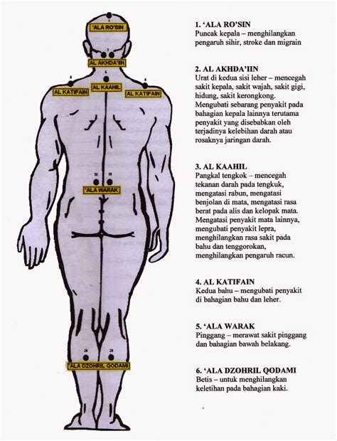 Salah satu tanda umum anemia adalah rasa lemah dan lelah. Al-HIJAMAH @ BEKAM @ CUPPING