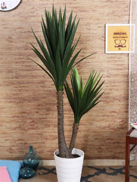 Green Artificial Yucca Plant Without Pot For Decoration At Rs 3300 In