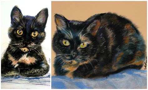 Cats drawings by schizophrenics 9gag.com. Custom Cat Portraits by Michelle Wolff - The Conscious Cat