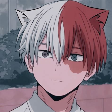 Todoroki Neko Catboy Anime Cat Cute Anime Character