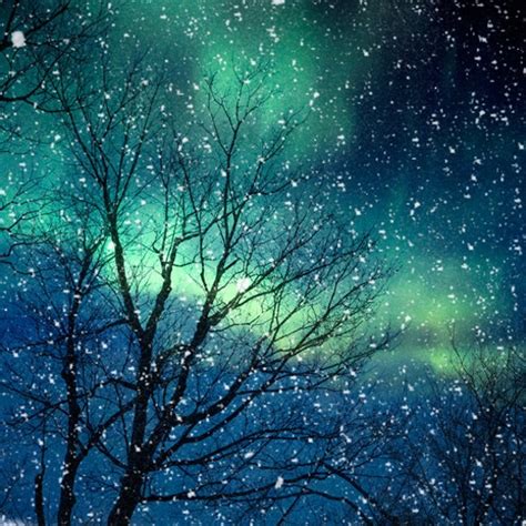 Nature Photography Winter Photography Northern Lights Snow