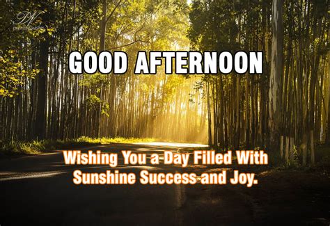 Good Afternoon Sunshine Success And Joy Premium Wishes