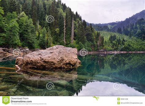 Clear Mountain Lake And Forest Stock Photo Image Of Water Clear