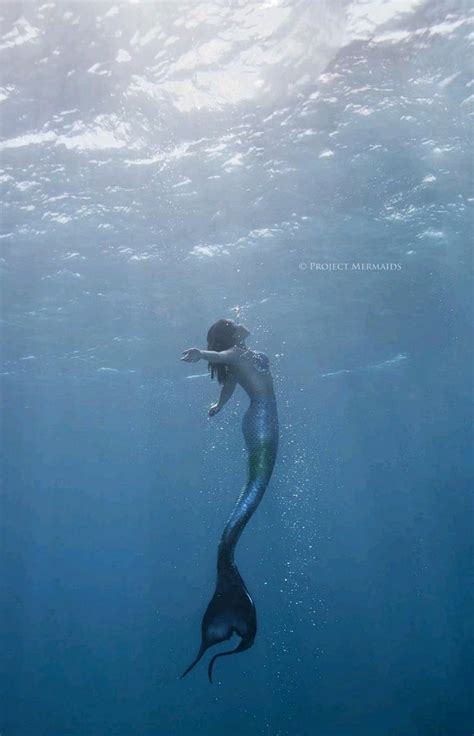 Image Result For Underwater Fairies Mermaid Art Mermaid Mermaid Life
