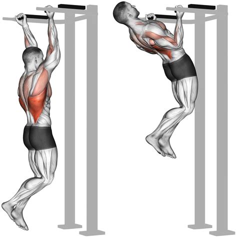 How To Do The Reverse Grip Pull Up Exercise Technique Tips Benefits