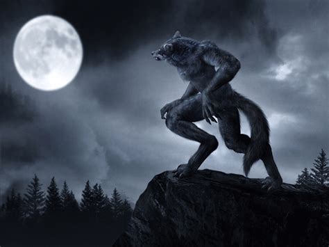 Werewolf The Strangers Bookshelf