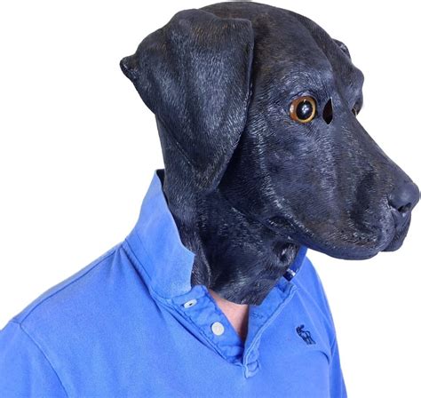 ⊛ 11 Mejores Disfraces Para Perros Labradores Negros Julio 2021