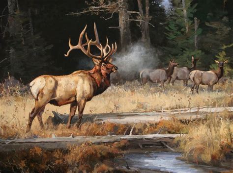 Archive — Luke Frazier Wildlife And Sporting Art Wildlife Art Elk