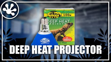 Pangea Deep Heat Projector Youtube