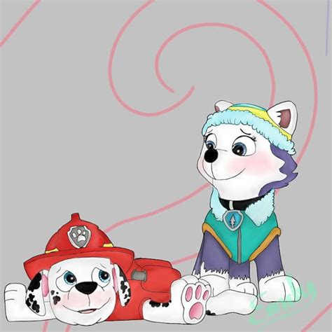 image marshall x everest a jpeg paw patrol relationships wiki fandom powered by wikia