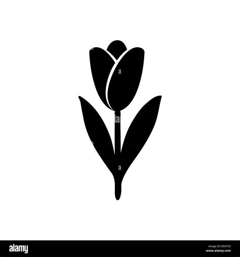 Tulip Icon Tulip Silhouette Vector Stock Vector Image And Art Alamy