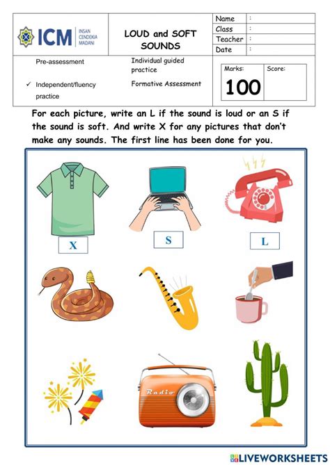 Loud And Soft Sounds Activity Formative Assessment Science