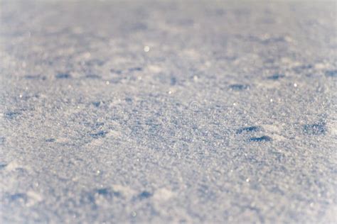 1744 Snow Grains Stock Photos Free And Royalty Free Stock Photos From