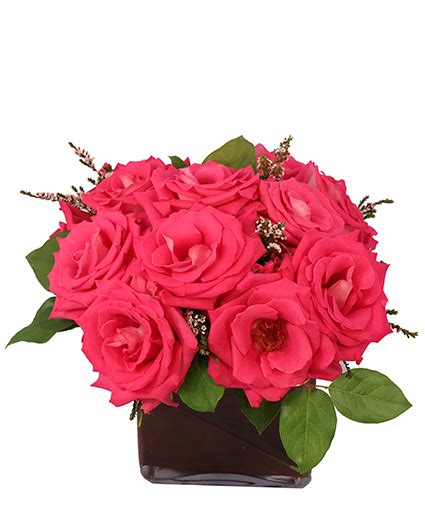 Pink Elegance Roses Floral Arrangement Just Because Flower Shop Network