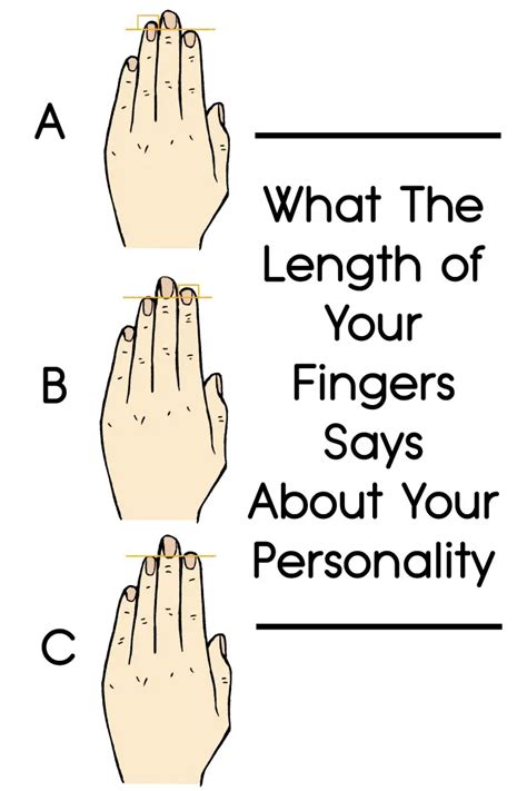 what the length of your fingers says about your personality