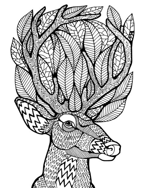 Colouring is a fun activity for children and it can boost their fine motor skills.here you will find a wonderful collection of colouring pages and you can download them for free. Adult Coloring Pages Deer at GetColorings.com | Free ...
