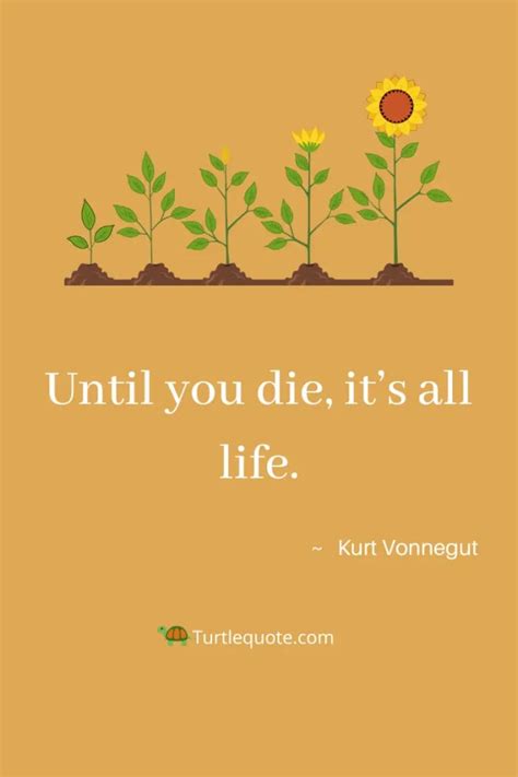 39 Kurt Vonnegut Quotes About Life Love And More Turtle Quotes