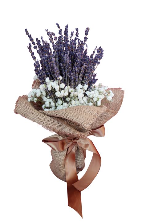 Lavender With Babys Breath Mirage Flowers