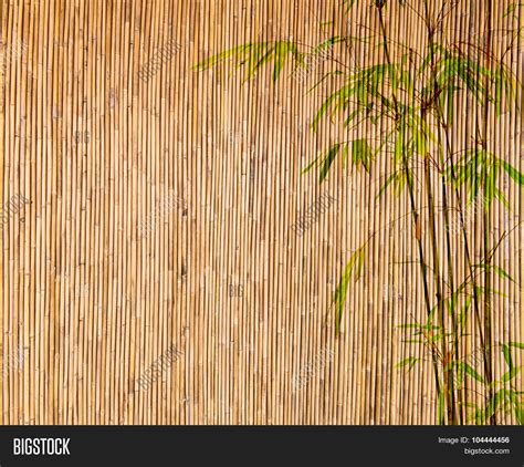 Bamboo Background Image And Photo Free Trial Bigstock