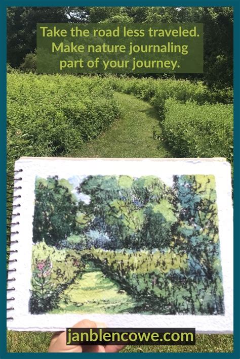 Pin By Jan Blencowe Creative Depth Co On Jan Blencowes Nature Journals
