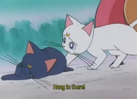 Pin By Amelia Garrett On Anime Sailor Moon Sailor Moon Cat Sailor Moon Aesthetic