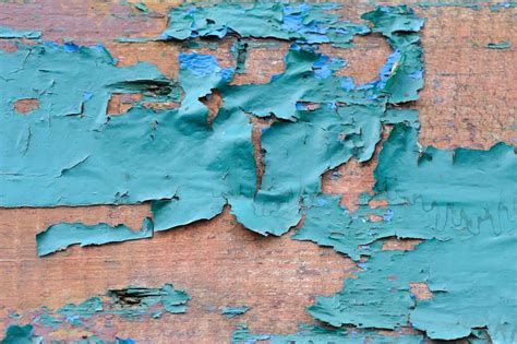 10 Major Reasons Why Your Wall Paint Is Peeling Off According To The