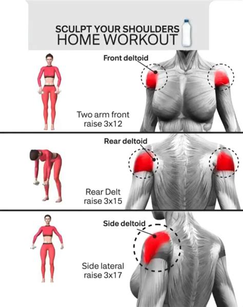 The Best Shoulders Exercises For Women [vídeo] Exercícios De Treino Treino De Braços Rotinas