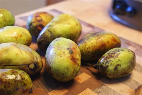 Check spelling or type a new query. The Yellow Teacup Bakery : Original Recipe: Paw Paw Cheesecake