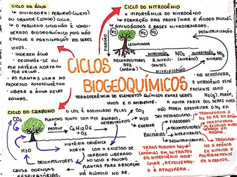 Pin de Fabio Costa em Bio Mapas mentais Ciclo da água Gestão e negócios