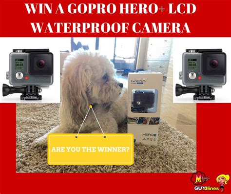 Go Pro Win A Gopro Hero Lcd Waterproof Camera